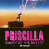 Priscilla Queen of the Desert at Durham Performing Arts Center