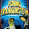 Young Frankenstein at Durham Performing Arts Center