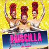 Priscilla Queen of the Desert at Durham Performing Arts Center