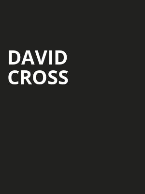 David Cross, Cats Cradle, Durham