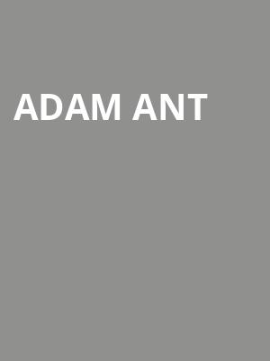Adam Ant, Durham Performing Arts Center, Durham